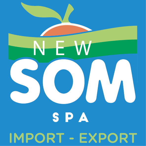 New Som Spa Logo